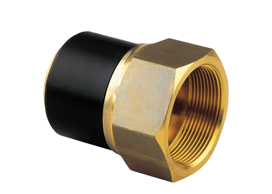 ELGEF Plus Transition adapter PE/brass (CW617N), Female thread Rp